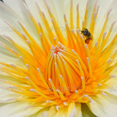 网络ddos监测分析工具