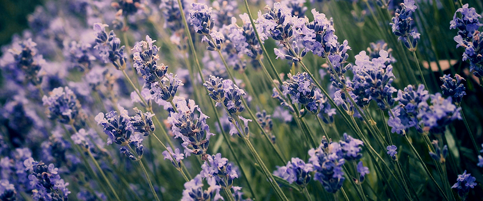 密钥交易市场的在线ddos网页端